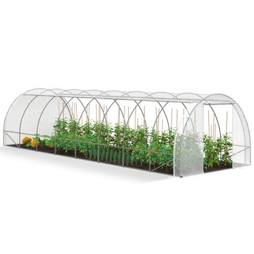 Serre jardin tunnel - jardin, 8