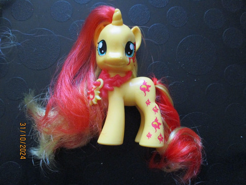 Mon petit poney - petit,