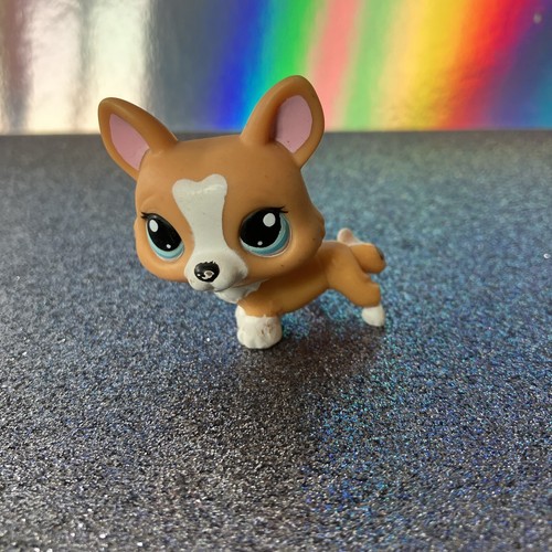 Authentic lps petshop - lps, 1360