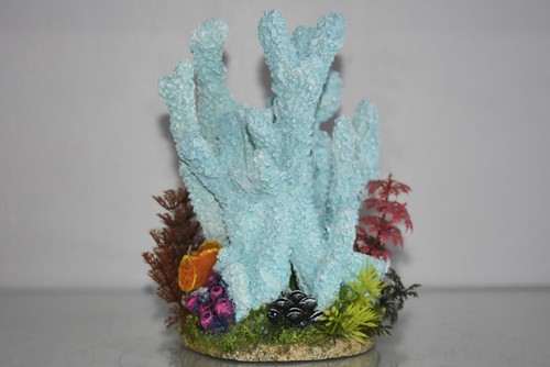 Aquarium détaillé bleu reef - détaillé,
