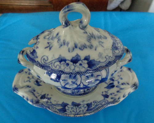 Moutardier flora creil - moutardier,