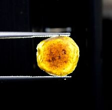 Australite tectite - 2.6