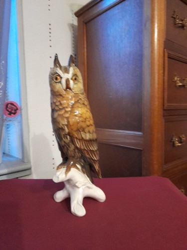 Grand hibou - hibou,
