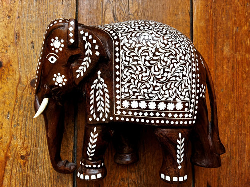 Superbe grand éléphant - superbe, en