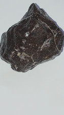  METEORITE - SUPERBE CHONDRITE