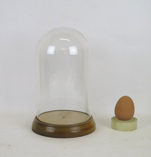 Cloche verre ancienne avec - cloche,