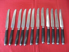 "603.23"   12 BEAUX COUTEAUX