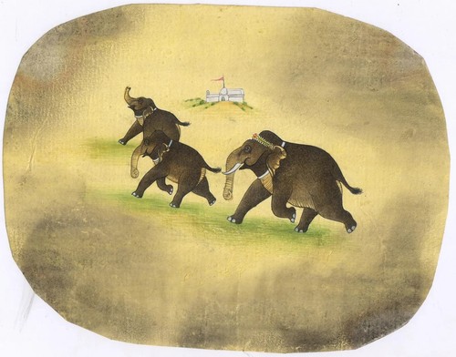 éléphant indien ancien - Éléphant,