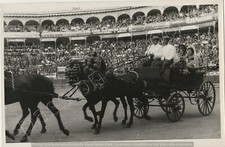 Paseo de Caballos Torero matador corrida tauromachie Bullfighting 1950 Cordoba