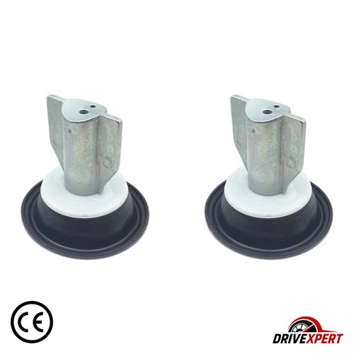 Membranes diaphragme piston - membranes,