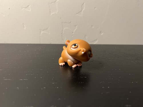 Hasbro littlest pet - littlest, shop