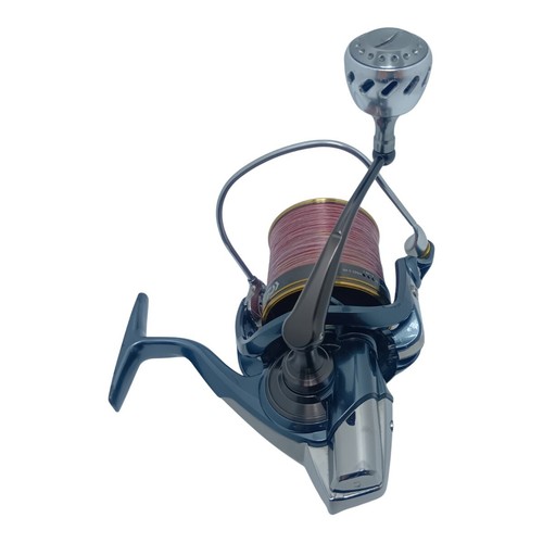 Daiwa surf basia - basia, qd