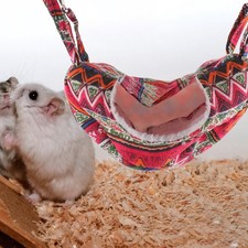  Accessoires Pour Cage À Rat