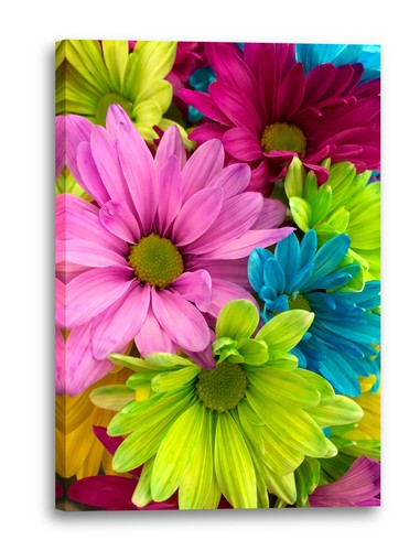 Toile cadres photos - de, fleurs