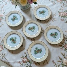 6 Assiettes Dessert Pillivuyt