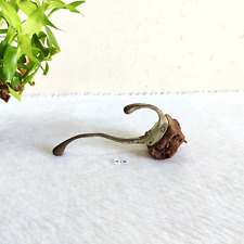 1920s Laiton Vintage Mural