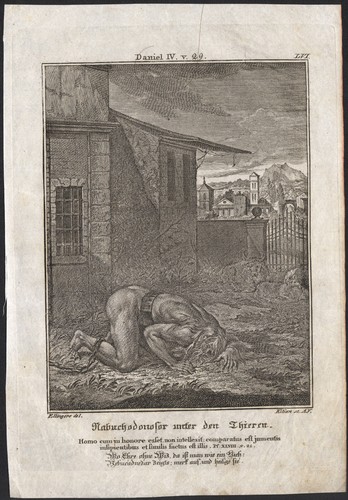 1720 gravure nabuchodonosor - gravure,