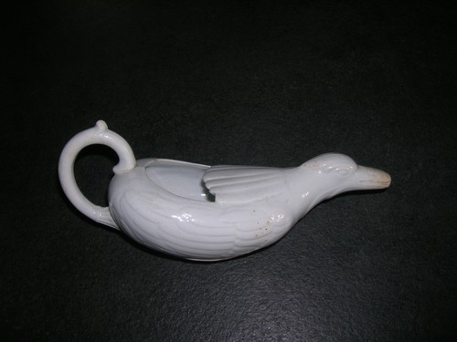 Canard biberon malade en - canard,