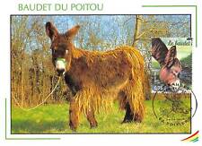 Carte maximum - FRANCE -