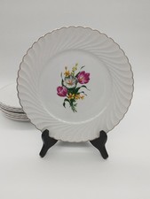 Lot de 6 assiettes Plates