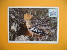 Card Maximum Korea - Carte Maximum Corée - Bird - Oiseaux Huppe fasciée