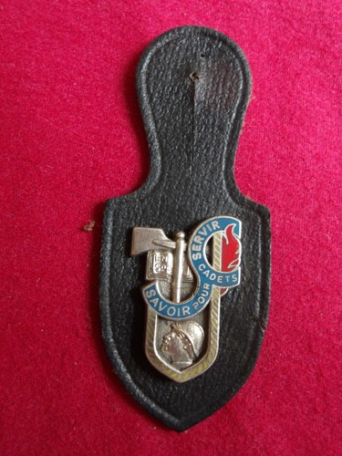 Insigne pompiers pucelle - insigne,