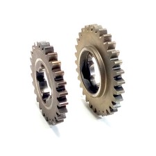 Deux Pignons pour TRACTION de Tondeuse Iseki SW521