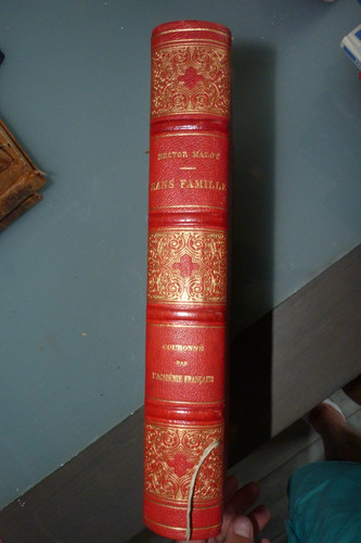 Hector malot sans - hector,