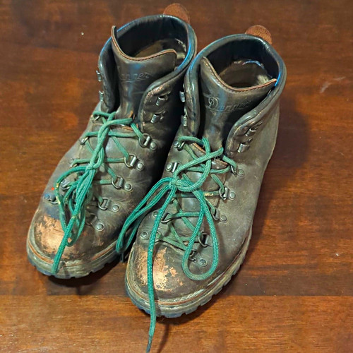 Danner leather hiking boots - hiking,