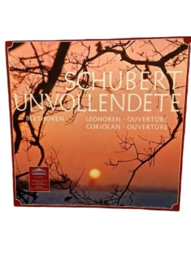 Schubert symphonie inachevée - schubert,
