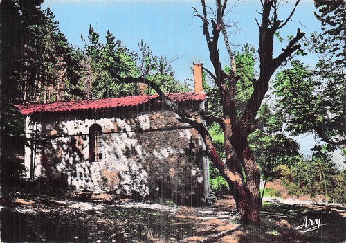 Saint andre les alpes - andre,