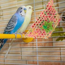  Jouet Oiseau Oiseaux À