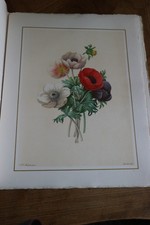 BELLE LITHOGRAPHIE DE FLEUR de