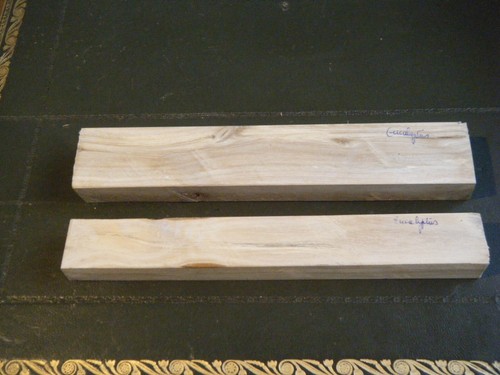 Bois eucalyptus - bois,