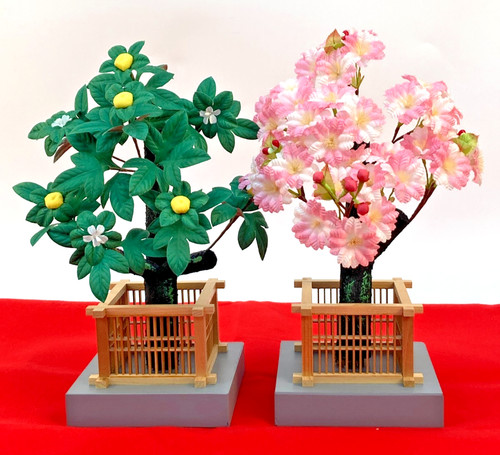 Ensemble arbre japonais