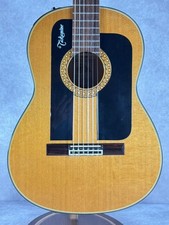 Takamine Flamenco Guitar FGP