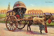 ITALIE attelage d'ane transport du vin attelage romain