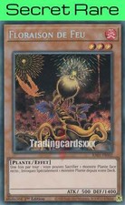 Yu-Gi-Oh! Floraison de Feu : SE RA01-FR002