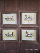 Ensemble de 4 impressions encadrées de canard - Art 