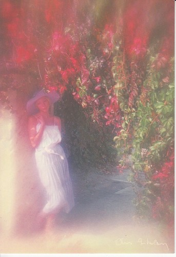 Carte postale chris - ,