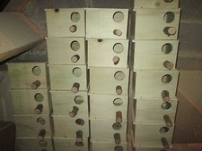 15 nid inseparable,perruche