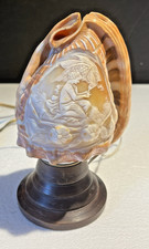 COQUILLAGE GRAVÉ SCULPTÉ  en