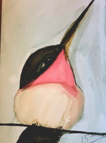 Martin pêcheur rose - martin,