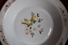 Grand plat creux arcopal - grand,