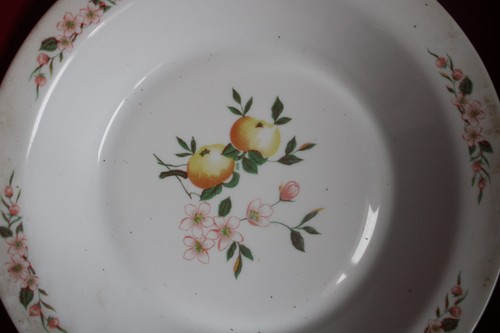 Grand plat creux arcopal - grand,