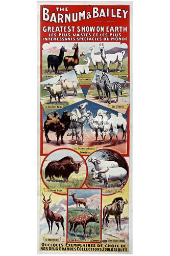Cirque barnum bailey r109 - r109,