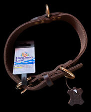 Collier pour Chien en Cuir -