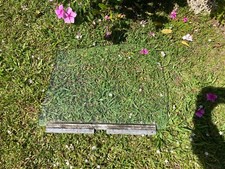 MGB Cabriolet SIKURSIV OU