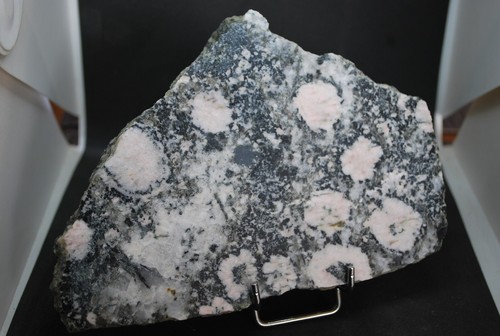 Diorite orbiculaire rose - orbiculaire, du