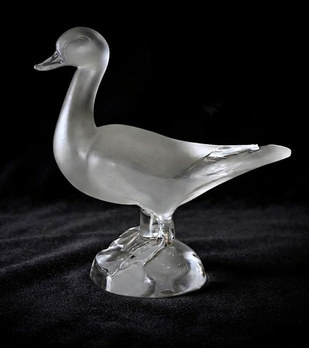 Rare superbe canard en - rare, et